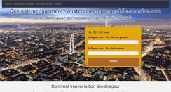Desktop Screenshot of misterdemenagement-ile-maurice.com
