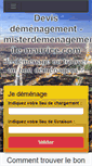 Mobile Screenshot of misterdemenagement-ile-maurice.com